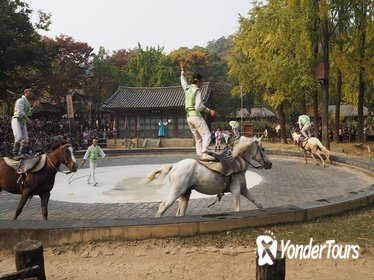 UNESCO World Cultural Heritage Site - Suwon Hwaseong Fortress Private day trip