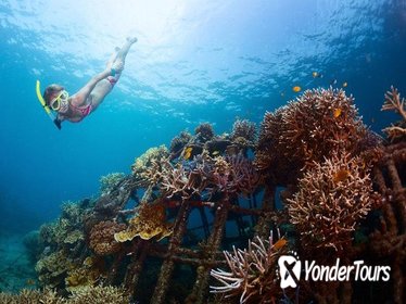 USS Liberty Shipwreck Snorkeling at Tulamben Bali USS Liberty Shipwreck Snorkeling at Tulamben Bali