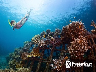 USS Liberty Shipwreck Snorkeling at Tulamben Bali