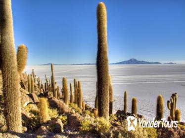 Uyuni Salt Flats Day Trip by Air from La Paz