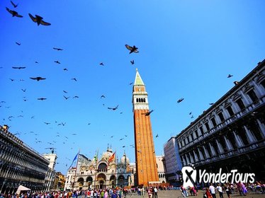 Venice Day Trip by High-Speed Catamaran from Pula