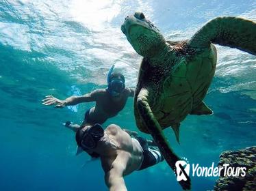 Vieques Snorkeling Tour from San Juan