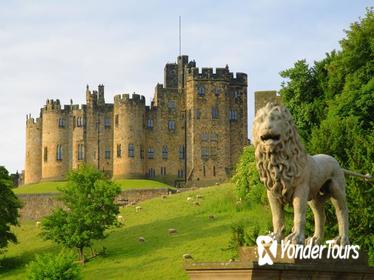 Viking Coast and Alnwick Castle Small Group Day Tour from Edinburgh
