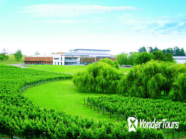 Villa Maria Wine Tour and Airport Shuttle from Auckland