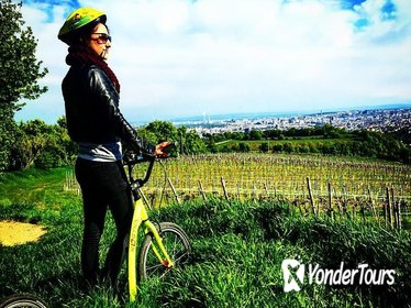 Vineyards of Vienna Downhill Scooter Tour with Panoramic Views