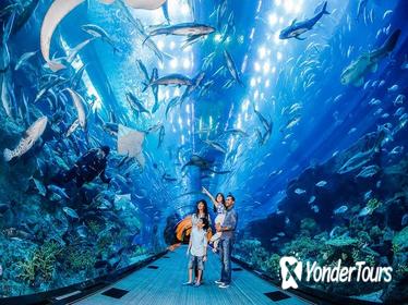VIP Dubai Aquarium