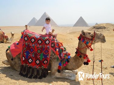 Visit Giza Pyramids and the Sphinx