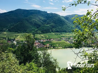 Wachau hike for small group (day trip, 3 hrs walking time)