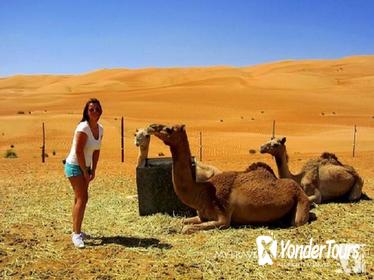 WAHIBA SANDS AND WADI BANI KHALID