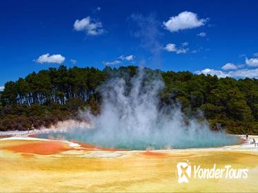 Wai-O-Tapu : Lady Knox Geyser : Champagne Lake and The Living Maori Village Small Group Tour