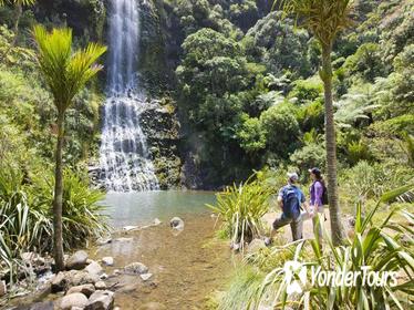 Waitakere Ranges Guided Walk from Auckland