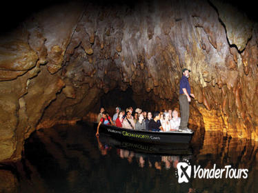 Waitomo Caves and Rotorua Day Trip from Auckland