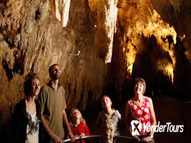 Waitomo Glowworm Caves Discovery Tour from Auckland