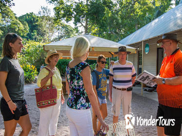 Walk the Darwin Botanic Gardens