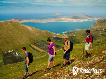 Walking Tour through La Corona Volcano and Famara Cliff