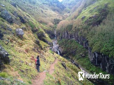 Walking Tour: Ribeira Funda and Furnas from Ponta Delgada