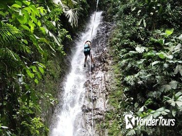 Waterfall Climbing Tour from Jacó