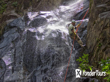 Waterfall Rappelling at Bocawina Rainforest