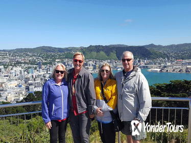 Wellington Shore Excursion: From Cave to Coast Highlights Private Tour