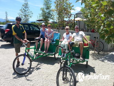 Wellington Shore Excursion: Wines of Wairarapa by Bike