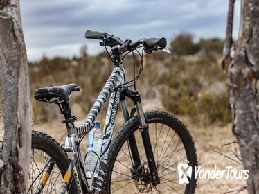 West Coast San Bushman Cycle Tour from Cape Town