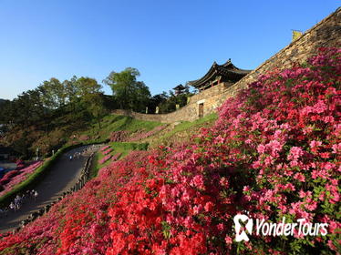 Western Korea 4-Day Tour Including Jeonju and Yeosu