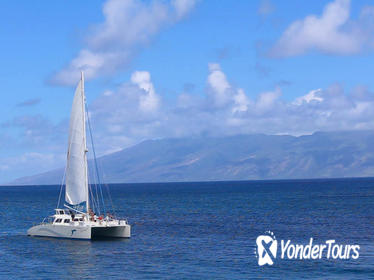 Whalewatch Sail Lahaina