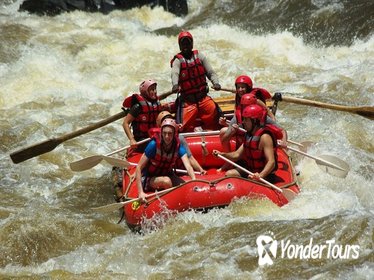 White Water Rafting Half-Day Tour in Zambia