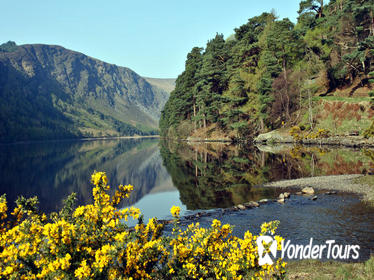 Wicklow, Powerscourt, and Glendalough Tour from Dublin