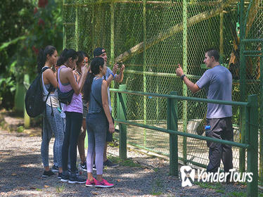 Wildlife Rescue Center Tour in Costa Rica