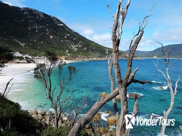 Wilsons Promontory Hiking Tour from Melbourne