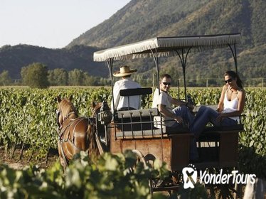 Wine & Horse Carriage Tour: Loma Larga and Emiliana Vineyards and Tastings