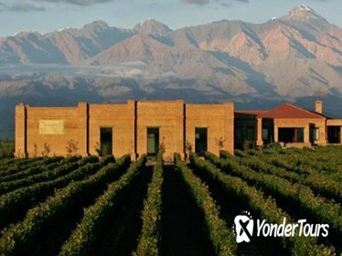 Wine Tour Experience in Uco Valley from Mendoza (full day)