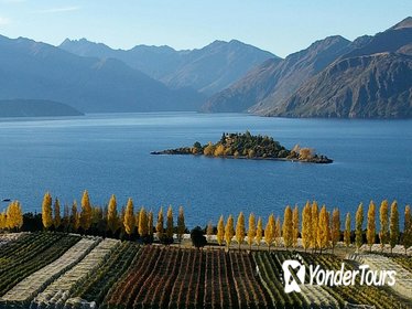 Wine Tour with Wine Tasting from Wanaka