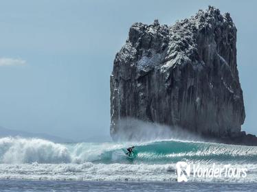 Witch's Rock and Ollie's Point Surf Boat Trip