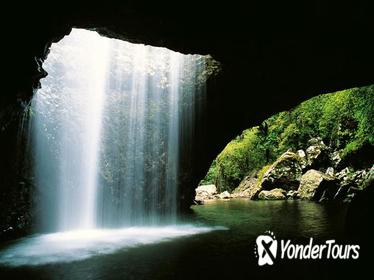 World Heritage Springbrook National Park Tour Including Natural Bridge