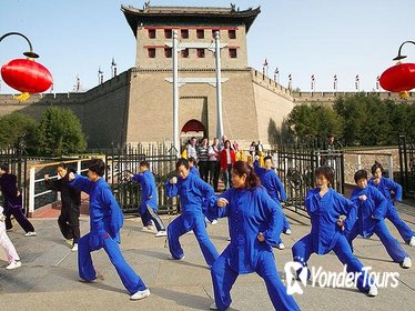 Xi'an Private Day Tour: City Wall, Great Mosque, Shaanxi History Museum and Big Wild Goose Pagoda