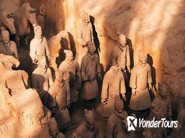 Xi'an Private Tour: Terracotta Warriors and Big Wild Goose Pagoda Day Tour