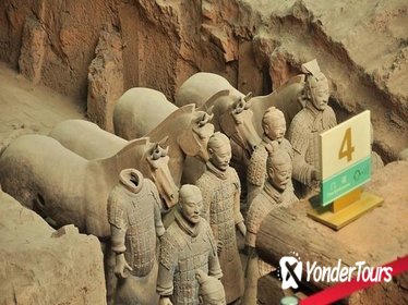 Xi'an Terracotta Warriors Bus Tour