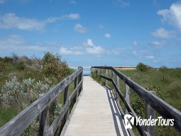 YANCHEP & LANCELIN - WILDLIFE, CAVE AND SANDS