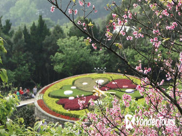 Yangmingshan National Park and Hot-Spring Half-Day Tour from Taipei