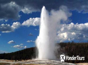 Yellowstone National Park Full-Day Tour from Jackson Hole
