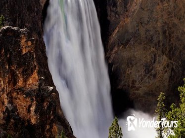 Yellowstone National Park Tour from Jackson