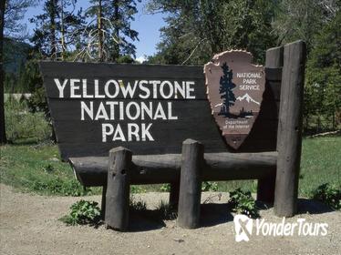 Yellowstone Upper Loop Self Guided Driving Tour from Jackson Hole
