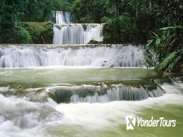 YS Falls plus Black River Safari from Negril