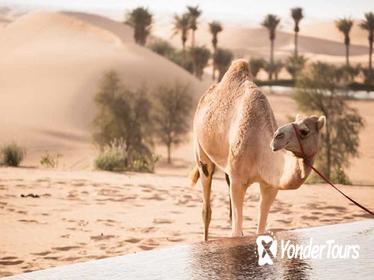 Zamal Lawal Village Heritage Tour from Abu Dhabi - Live a Day in Bedouin Style