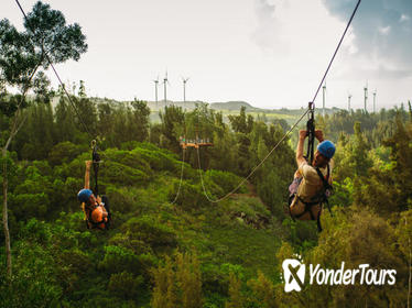 Zipline Tour On Oahu's North Shore