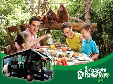 Zoo (Optional Breakfast with Orangutans) and 2-Way Safari Gate City Transfer