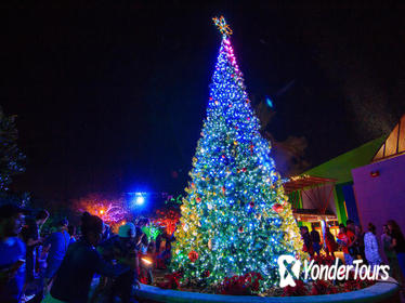 Zoo Lights Miami