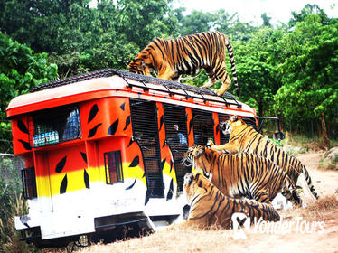 Zoobic Safari Entry with Lunch Option Zoobic Safari Entry with Lunch Option